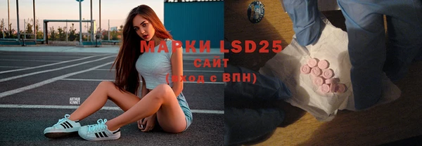 стафф Карпинск