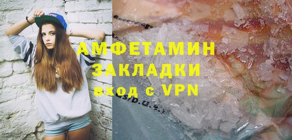 молекула духа Каменка