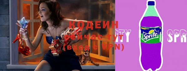 молекула духа Каменка