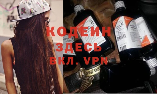молекула духа Каменка