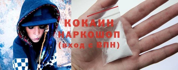 молекула духа Каменка